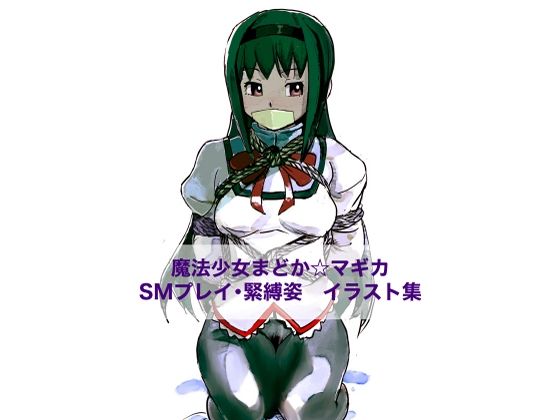魔法少女まどか☆マギカ SMプレイ・緊縛姿 イラスト集