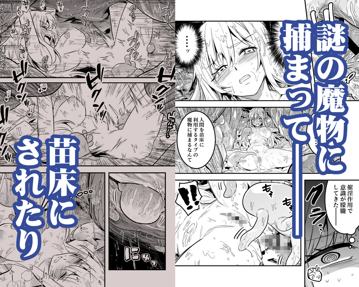 冒険者ちゃんとえっちな冒険5 サンプル 4