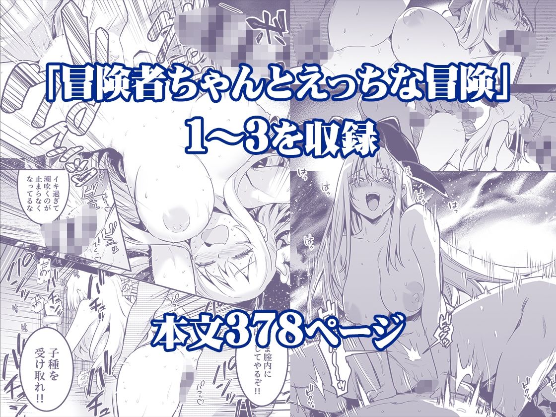 冒険者ちゃんとえっちな冒険 総集編 サンプル 4