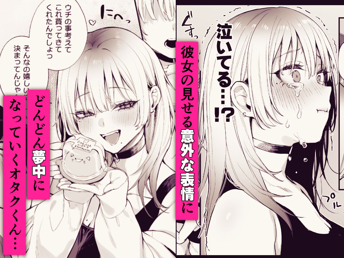 一晩泊めてよ、オタクくん サンプル 7