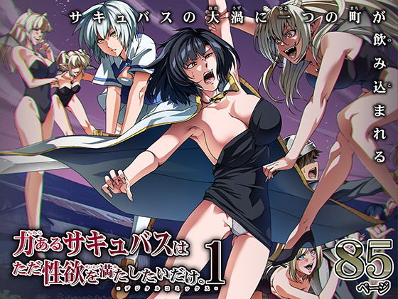 力あるサキュバスは性欲を満たしたいだけ 14