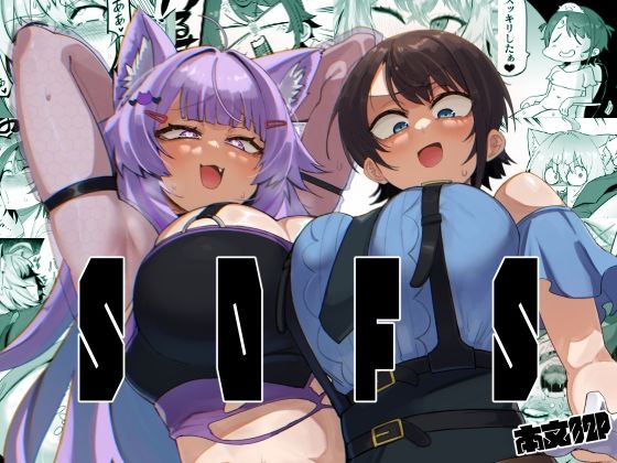 SOFS サンプル 2
